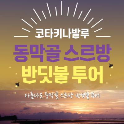 최초로 선보이는 아름다운 동막골 스르방 반딧불!