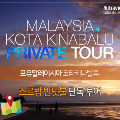 아름다운 원조 반딧불 동막골 스르방 반딧불 [150,000원~]