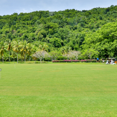 세가지 즐거움 3색 골프 투어! [230,000원~]