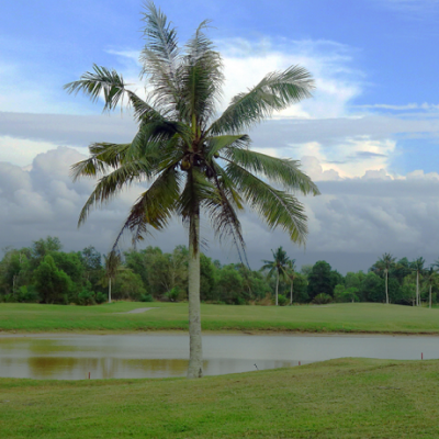 코타키나발루에서 즐기는 여유 보르네오CC 골프 투어![406,000원~]