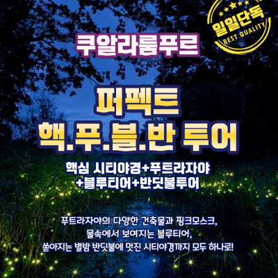 깔끔한 행정도시 푸트라자야와 핵심투어만 담아 핵.푸.블.반 [푸트라자야+블루티어+반딧불+시티야경][350,000~]