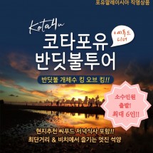 반딧불보러 최단거리로 이동, 소수인원으로 진행하는 코타포유반딧불!