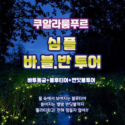 미니멀해도 엣지있게 심플 바.블.반 투어![바투동굴+블루티어+반딧불]