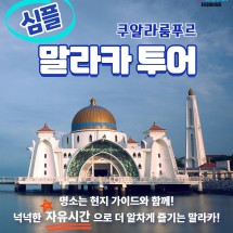 유명 명소는 가이드와 함께! 넉넉한 자유시간으로 더 알차게 즐기는 심플 말라카 투어